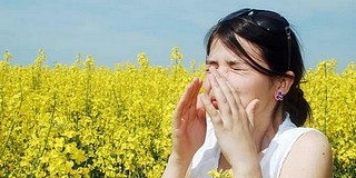Rossz hír az allergiásoknak: emelkedik a pollenkoncentráció Rossz hír az allergiásoknak: emelkedik a pollenkoncentráció