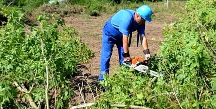 Láncfűrésszel dolgozik a Tettye a biztonságos vízszolgáltatáson Láncfűrésszel dolgozik a Tettye a biztonságos vízszolgáltatáson