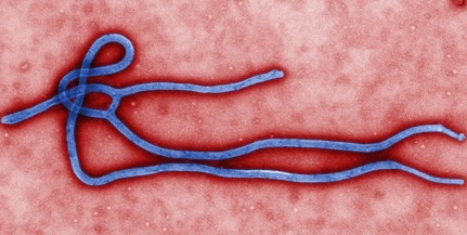 Hazánkat nem veszélyezteti az Ebola-járvány Hazánkat nem veszélyezteti az Ebola-járvány