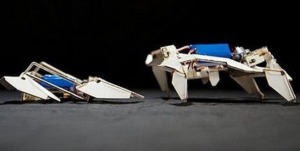 Saját magát rakja össze az origami által ihletett robot Saját magát rakja össze az origami által ihletett robot