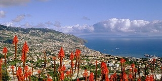 Madeira 89.900 Ft/főtől Madeira 89.900 Ft/főtől