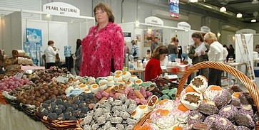 Soha többé Pécs Expo Soha többé Pécs Expo