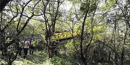 Fák tetején landolt egy kisrepülő Pátyon Fák tetején landolt egy kisrepülő Pátyon