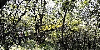 Fák tetején landolt egy kisrepülő Pátyon Fák tetején landolt egy kisrepülő Pátyon