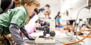 A robotolimpia és a játékos matek volt a legnépszerűbb Pécsett A robotolimpia és a játékos matek volt a legnépszerűbb Pécsett