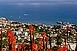 Madeira az őszi szünetben, ultra last minute akció Madeira az őszi szünetben, ultra last minute akció