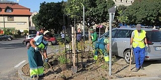 Őszi virágpalástba burkolózik Pécs Őszi virágpalástba burkolózik Pécs