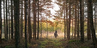 Közel kétmillió hektáros már a magyar erdővagyon Közel kétmillió hektáros már a magyar erdővagyon