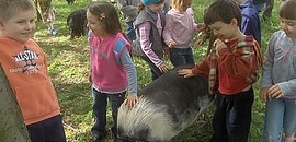 Állatközelben a Misinán Állatközelben a Misinán