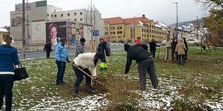 Most Kertváros jön: várják a jelentkezőket a közös faültetésre Most Kertváros jön: várják a jelentkezőket a közös faültetésre
