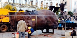 Ennyi volt: bontják Leonardo lovát a téren, viszik a Kolosszust Pécsről Ennyi volt: bontják Leonardo lovát a téren, viszik a Kolosszust Pécsről