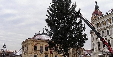 Kedden állítják fel a Mindenki karácsonyfáját a Széchenyi téren