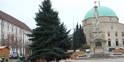 Felállították a Mindenki karácsonyfáját a Széchenyi téren