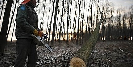 Jövőre lecsap a csaló cégekre a munkaügy Jövőre lecsap a csaló cégekre a munkaügy