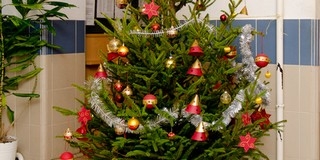 A gyógyulást is segítik a PTE klinikáin az ajándék karácsonyfák