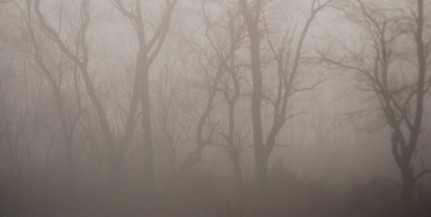 Vigyázat Baranya: ködre és ónos esőre figyelmeztet a meteorológiai szolgálat