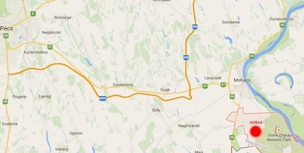 Liba- és récefajokat kémlelhetünk távcsővel Kölkeden