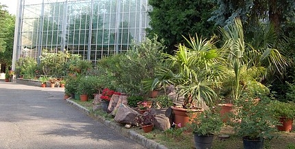 Megkezdődött az Ifjúság úti egyetemi botanikus kert felújítása