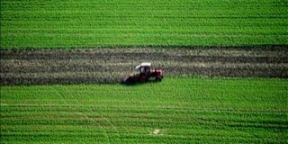 Küszöbön a vádemelések az agrártámogatási csalások ügyében Küszöbön a vádemelések az agrártámogatási csalások ügyében