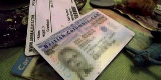 Műfogsor és kanadai jogosítvány is akad a pécsi csatornarelikviák között Műfogsor és kanadai jogosítvány is akad a pécsi csatornarelikviák között