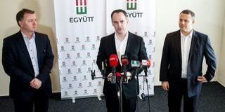 Szigetvári Viktor ex-társelnök lett az Együtt első embere Szigetvári Viktor ex-társelnök lett az Együtt első embere