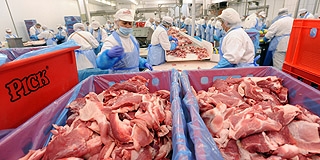 PICK: átveszi a pécsi dolgozókat az új mohácsi üzem, a cégvezetők szerint „szükségtelen volt a sztrájk PICK: átveszi a pécsi dolgozókat az új mohácsi üzem, a cégvezetők szerint „szükségtelen volt a sztrájk