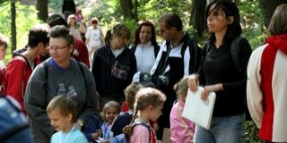 Pettyegetett tüdőfű és kankalin - folytatódik a Csipiszke-túra Pettyegetett tüdőfű és kankalin - folytatódik a Csipiszke-túra
