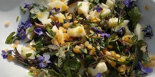 Kóstoló az erdőkből: a már jól ismert medvehagymán kívül is van mit felfedezni