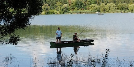 Környezetvédelmi napot rendeznek a Pécsi-tónál