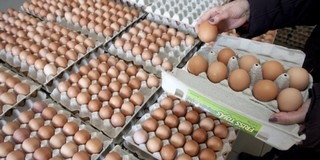 Nem drágul a tojás a húsvéti időszakban Nem drágul a tojás a húsvéti időszakban