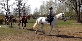 Száznál több tanuló ismerkedik a lovakkal Mohácson