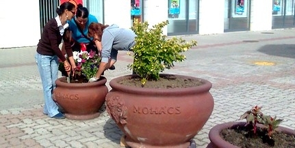 Idén újra Mohács lehet a régió legvirágosabb városa Idén újra Mohács lehet a régió legvirágosabb városa