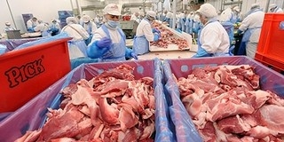 Mohácson lassan a képzett munkaerő fog hiányozni Mohácson lassan a képzett munkaerő fog hiányozni