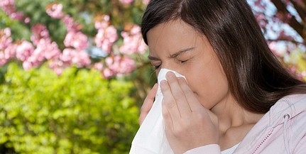 Ezek a növények kínozzák az allergiásokat hétvégén Ezek a növények kínozzák az allergiásokat hétvégén