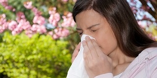 Ezek a növények kínozzák az allergiásokat hétvégén