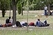Szijjártó szerint néhány hónap alatt megépül a kerítés Szijjártó szerint néhány hónap alatt megépül a kerítés