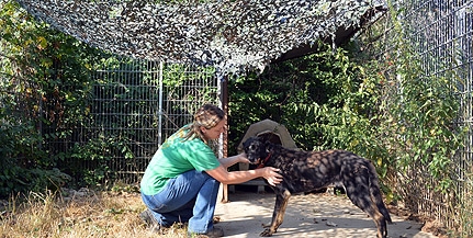 Árnyékolás, folyamatos vízcsere, fürdetés - így óvják a Misina állatait a hőségtől Árnyékolás, folyamatos vízcsere, fürdetés - így óvják a Misina állatait a hőségtől