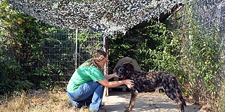 Árnyékolás, folyamatos vízcsere, fürdetés - így óvják a Misina állatait a hőségtől