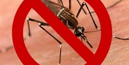 Kedden és szerdán éjszaka ismét irtják a szúnyogokat Pécsett, ezúttal a földről Kedden és szerdán éjszaka ismét irtják a szúnyogokat Pécsett, ezúttal a földről