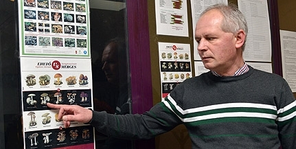 Megjelentek az erdei gombák a pécsi vásárcsarnokban Megjelentek az erdei gombák a pécsi vásárcsarnokban
