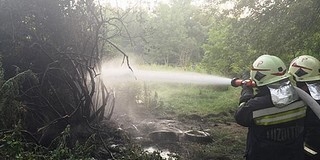 Több tűzhöz és fakidőléshez is riasztották a tűzoltókat Több tűzhöz és fakidőléshez is riasztották a tűzoltókat