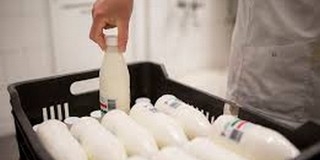 Önköltségi ár alatt adják el a tejet a magyar termelők Önköltségi ár alatt adják el a tejet a magyar termelők