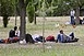 Brit-francia parancsnokságot állítanak fel Calais-ban Brit-francia parancsnokságot állítanak fel Calais-ban