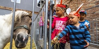 A Zsolnay Negyedben voltak a legboldogabbak a gyerekek a hosszú hétvégén