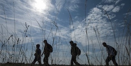 Este érhet Röszkére a migránsok újabb nagyobb hulláma Este érhet Röszkére a migránsok újabb nagyobb hulláma