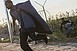 Ismét kitörtek a migránsok a röszkei gyűjtőpontról Ismét kitörtek a migránsok a röszkei gyűjtőpontról
