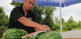 Dinnyések: ahol a part szakad