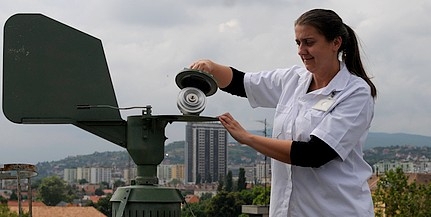Csúcson a parlagfű pollenkoncentrációja Csúcson a parlagfű pollenkoncentrációja
