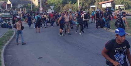 Több ezren tartanak Baranya felé - a Mohácsi-szigeten kezdik el építeni a kerítést a határon Több ezren tartanak Baranya felé - a Mohácsi-szigeten kezdik el építeni a kerítést a határon
