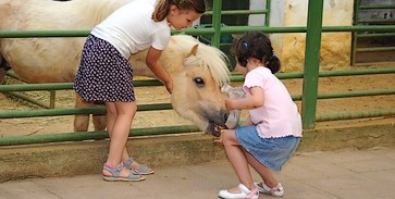 Pécs Zoo: őszre kész a tanulmány Pécs Zoo: őszre kész a tanulmány
